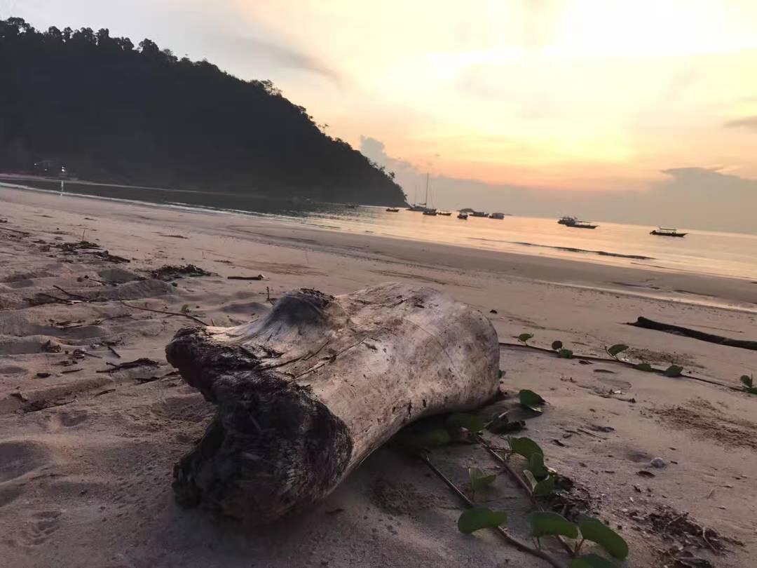 Juara Bay Resort Tioman Zewnętrze zdjęcie