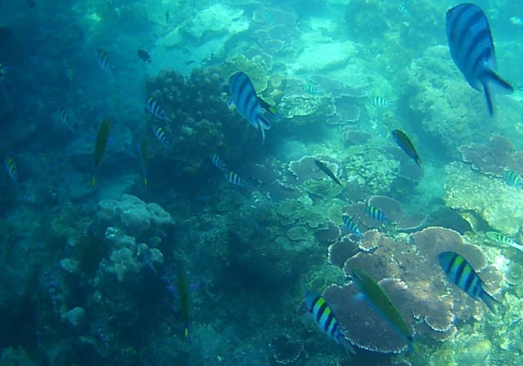 Juara Bay Resort Tioman Zewnętrze zdjęcie